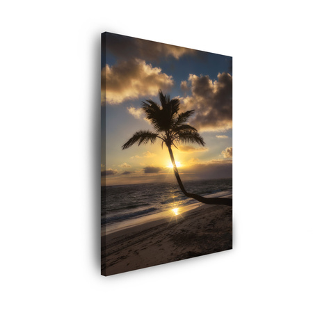 Obraz na płótnie Natura Palma zachód słońca 30x40 cm
